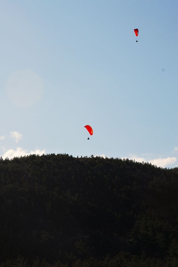 D11_2044.jpg