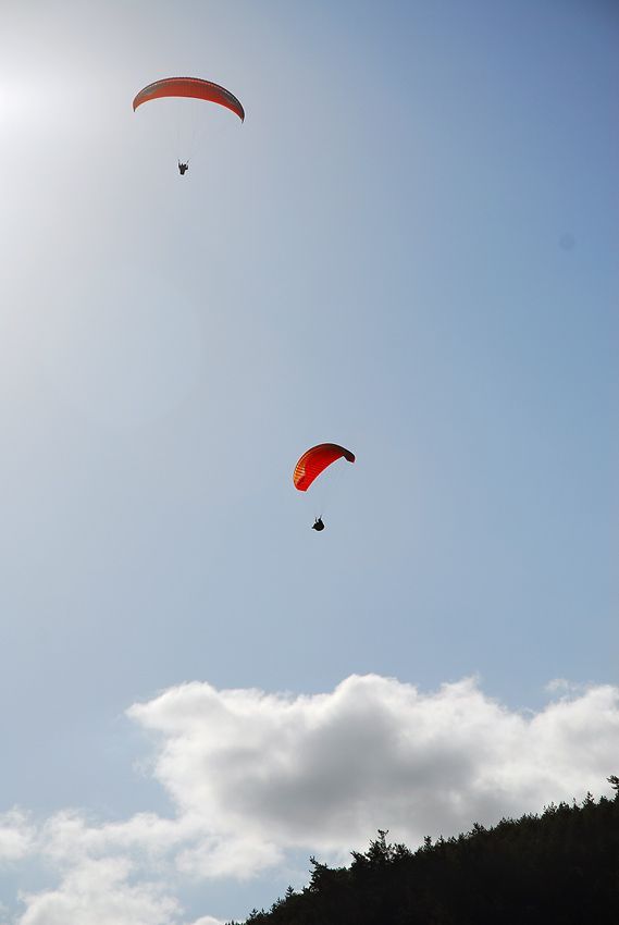 D11_2072.jpg