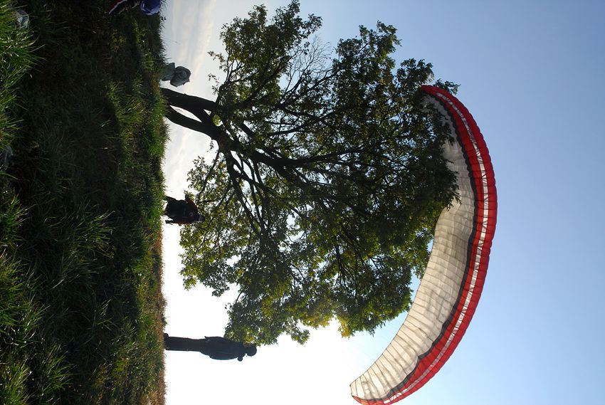 D11_7302.jpg
