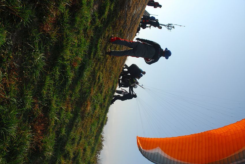 D11_7346.jpg