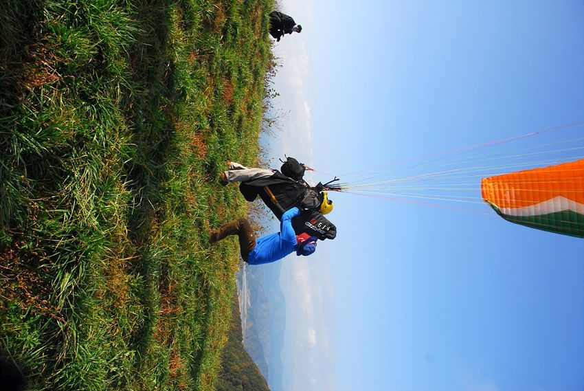 D11_7286.jpg