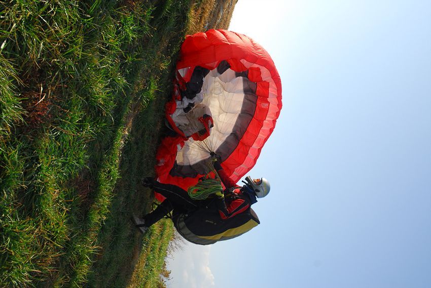 D11_7350.jpg