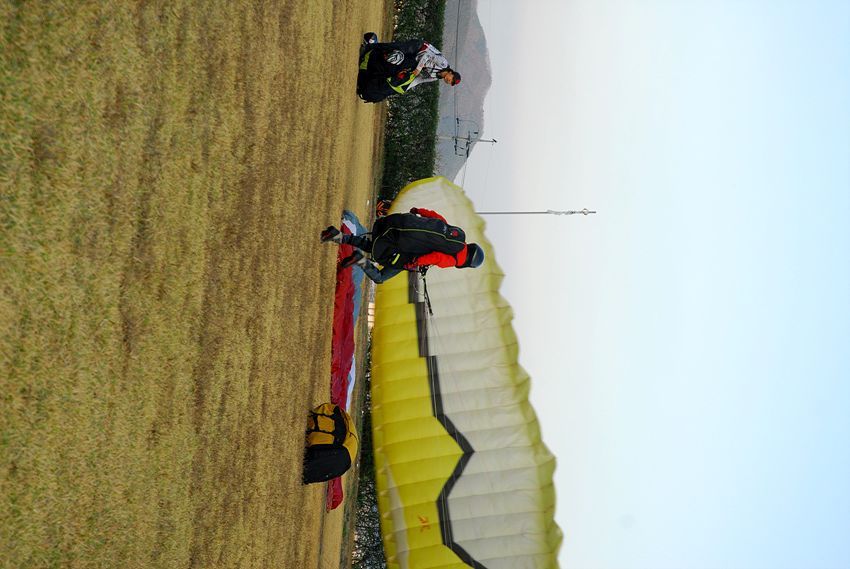 D11_7373.jpg