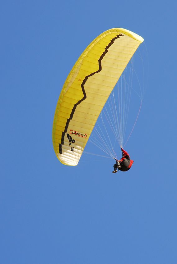 D11_2107.jpg