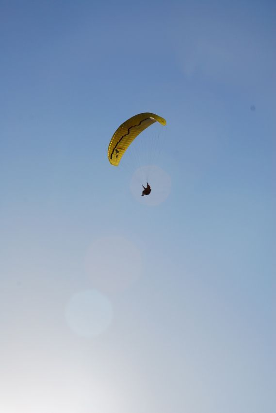 D11_2103.jpg