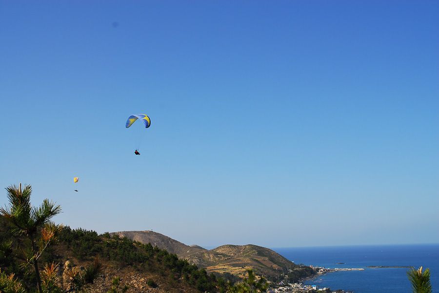 D11_2873.jpg