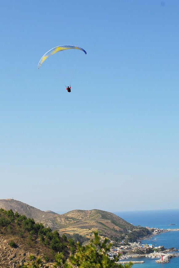 D11_2872.jpg