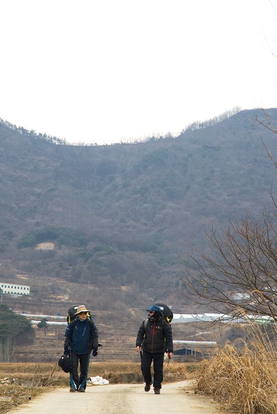 _D121540.jpg
