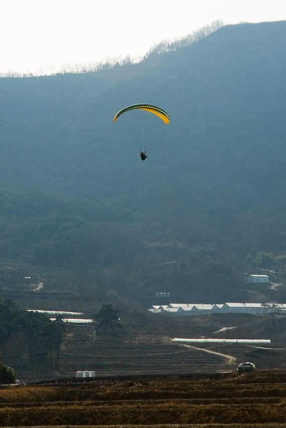 _D121553.jpg
