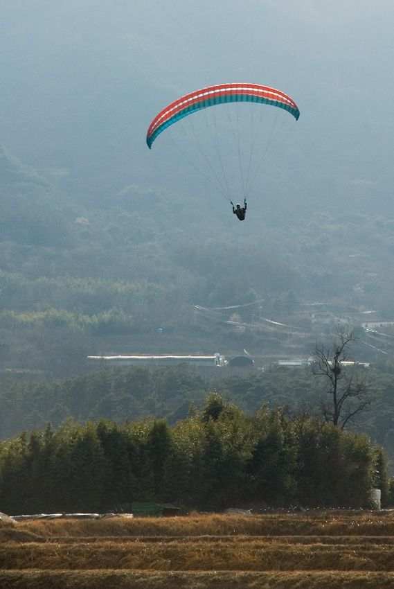 _D121548.jpg
