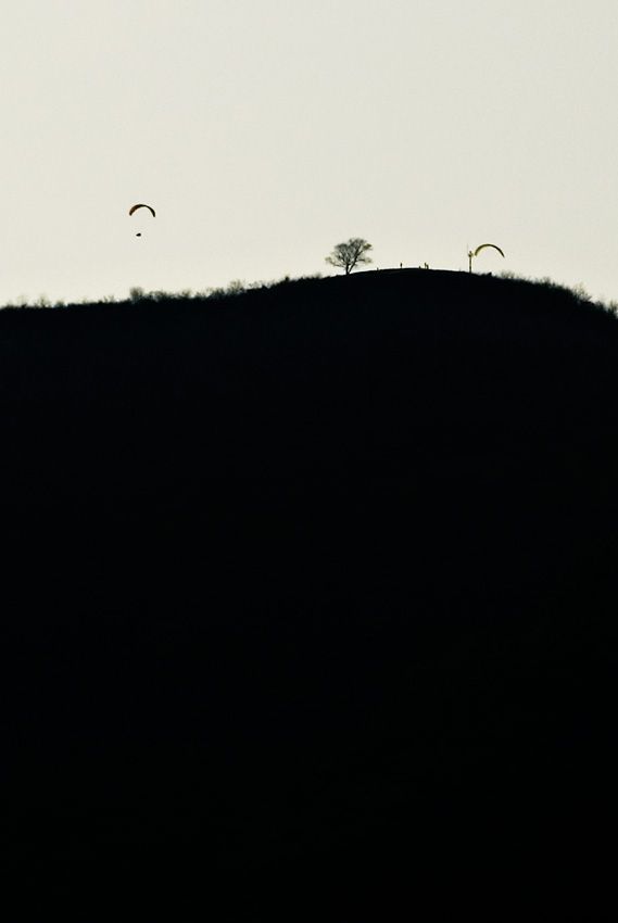 _D121546.jpg