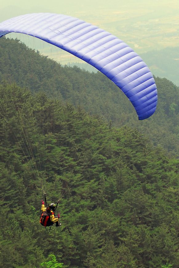 D11_4472.jpg
