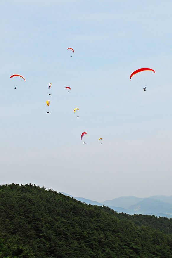 D11_4608.jpg