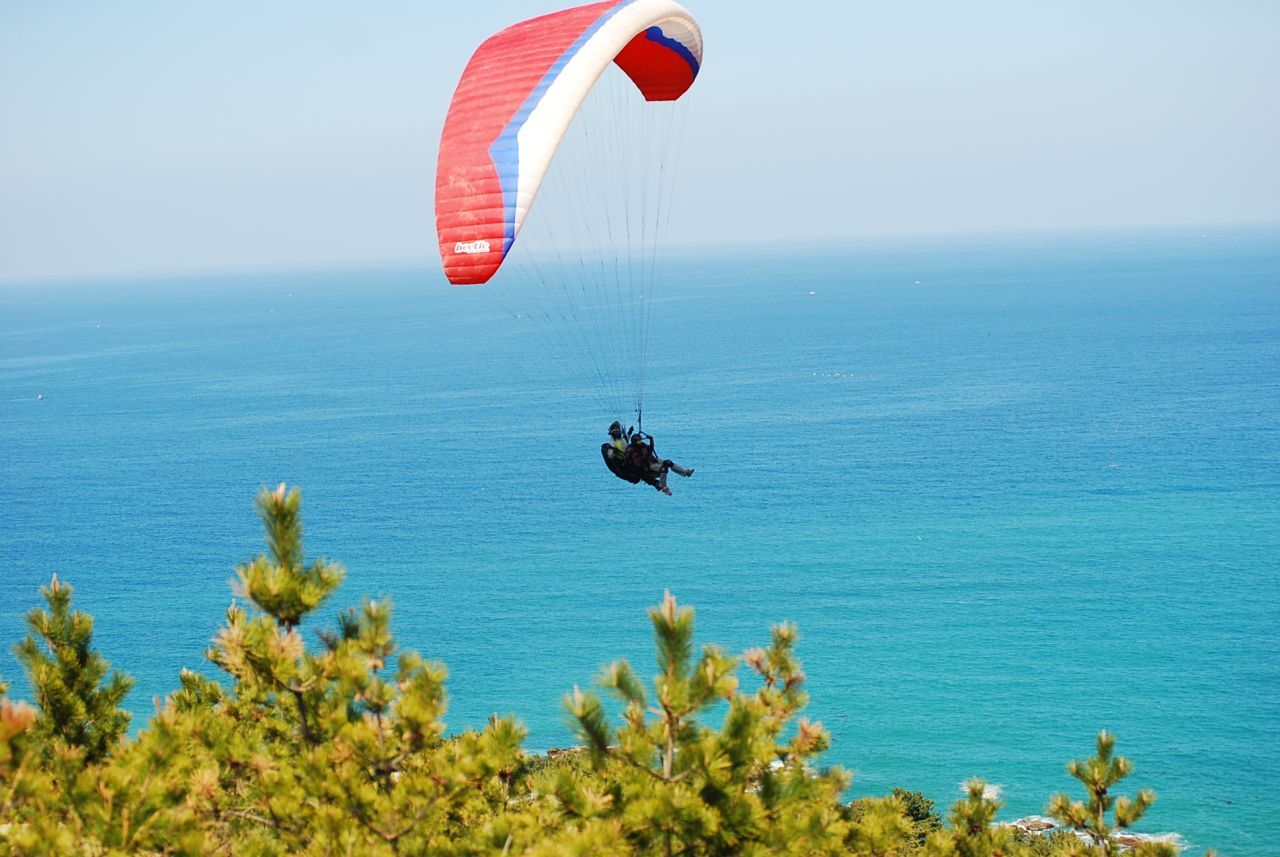 DSC_0535.JPG