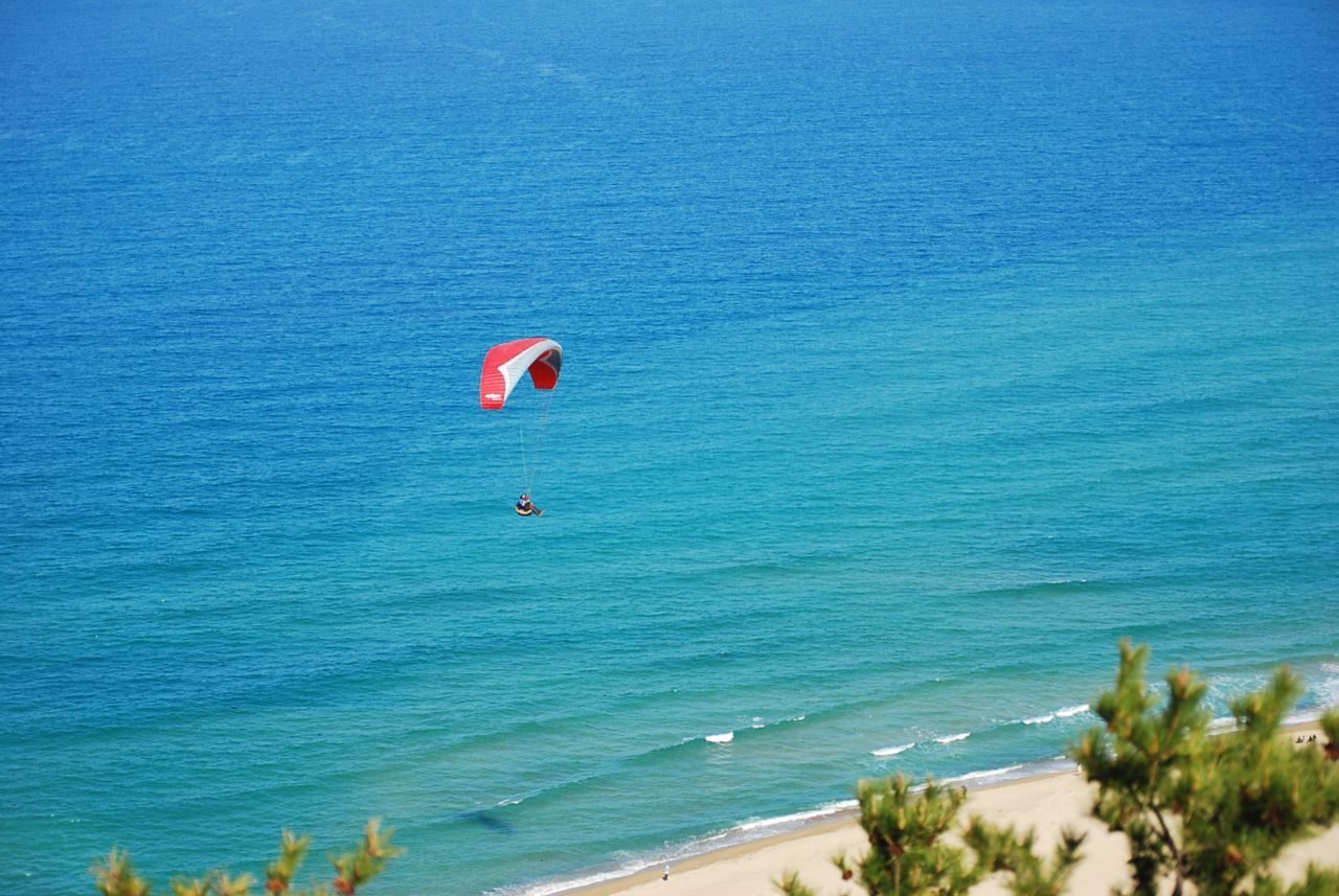 DSC_0700.JPG