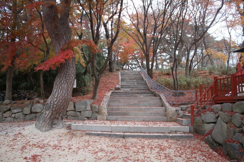 크기변환_IMG_0110.JPG