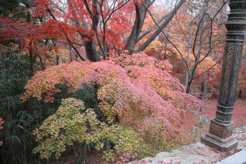 크기변환_IMG_0122.JPG
