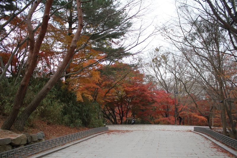 크기변환_IMG_0114.JPG