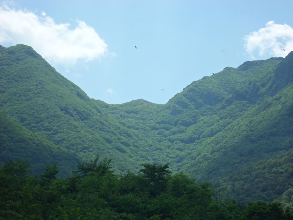SAM_0854.JPG