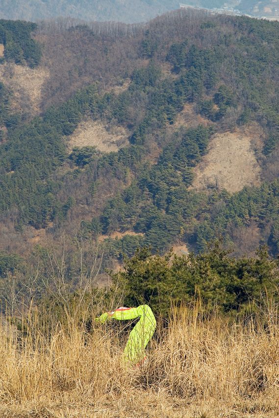 _D121612.jpg