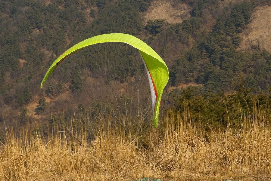 _D121598.jpg