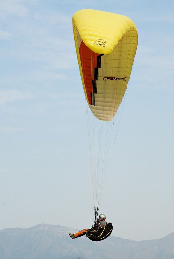 _D121694.jpg