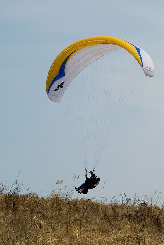 _D121662.jpg