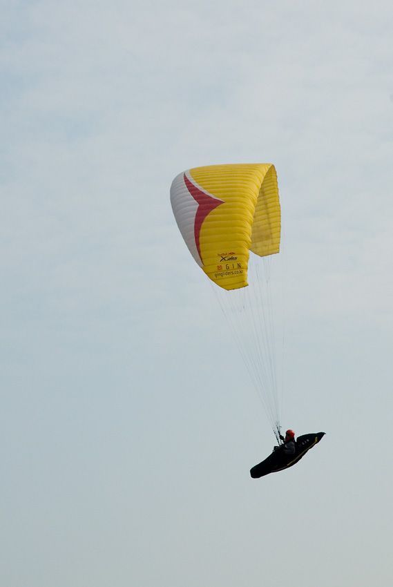 _D121697.jpg