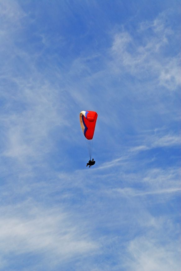 D11_3378.jpg