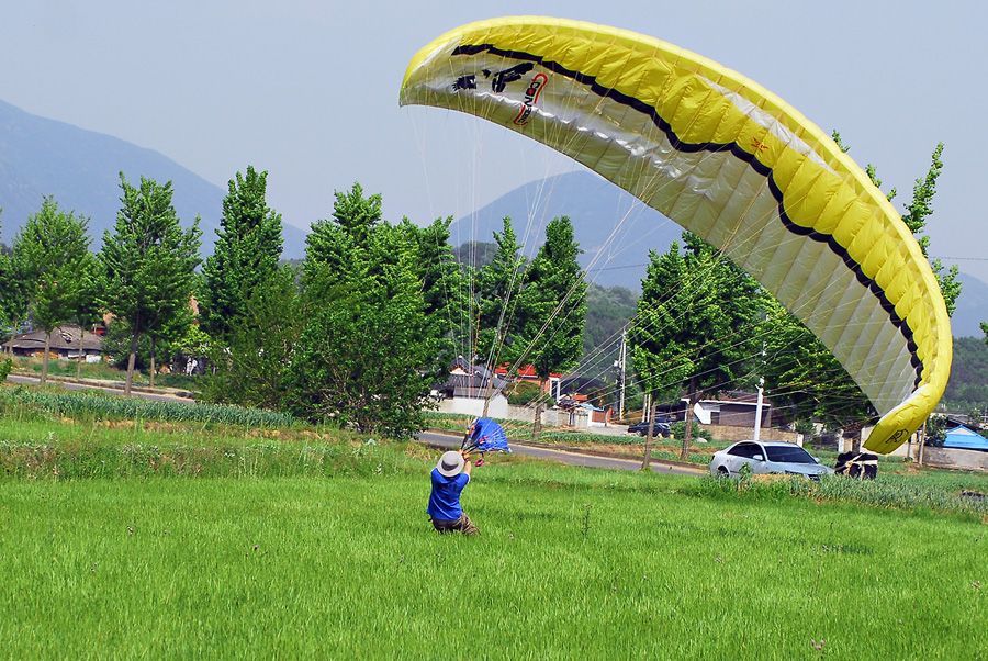 D11_3528.jpg