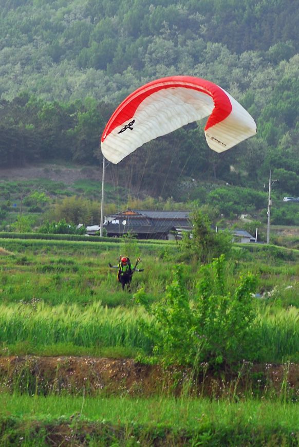 D11_3555.jpg