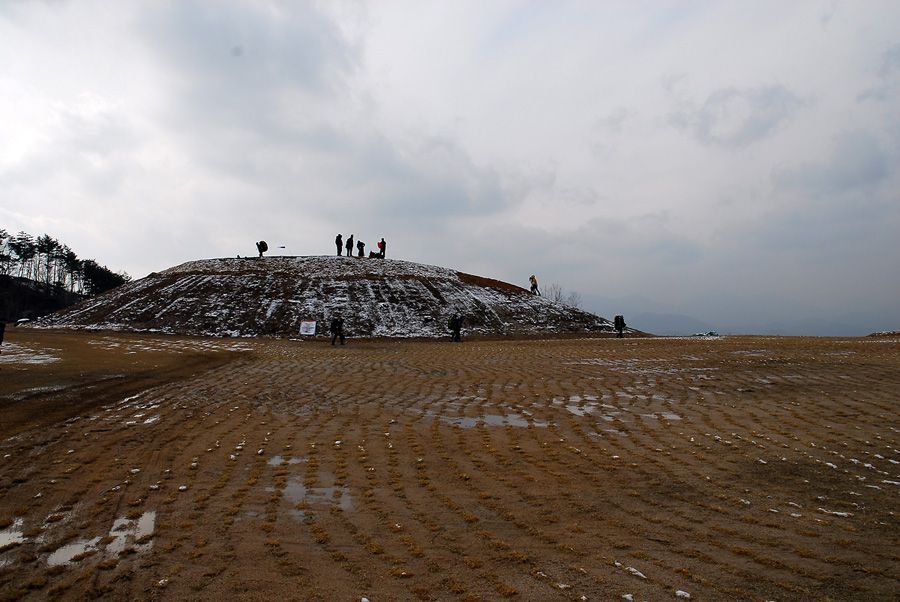 D11_7702.jpg