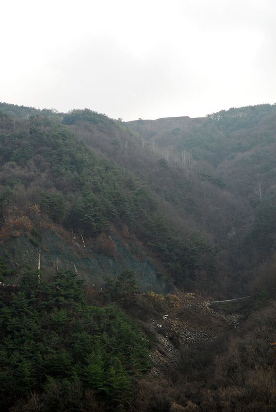 D11_7700.jpg