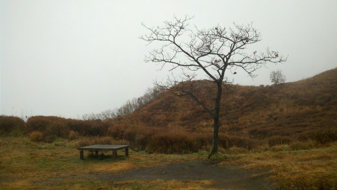 2011-11-06_13-37-53_681.jpg