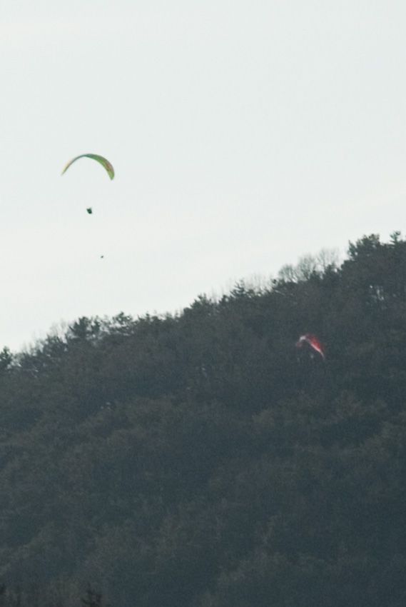 _D121205.jpg