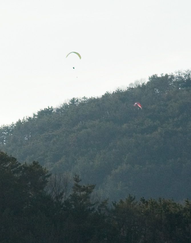_D121204.jpg