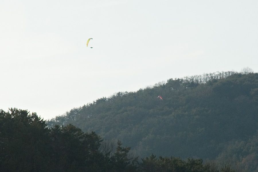_D121200.jpg