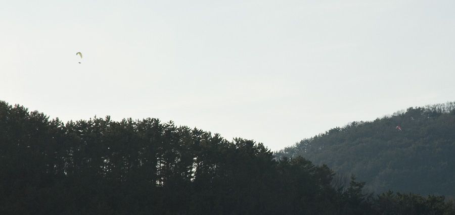 _D121198.jpg