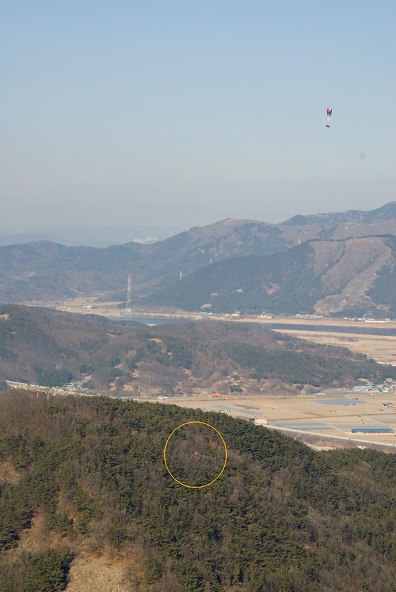 _D121184.jpg