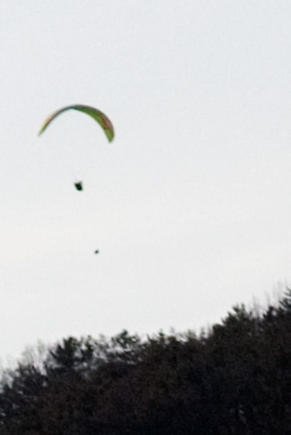 _D121206.jpg