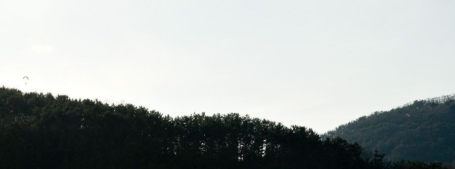 _D121196.jpg