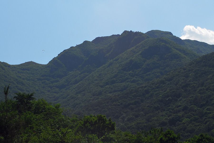 D11_4166.jpg