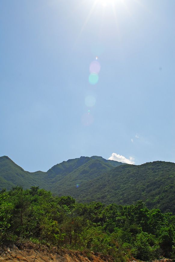 D11_4165.jpg