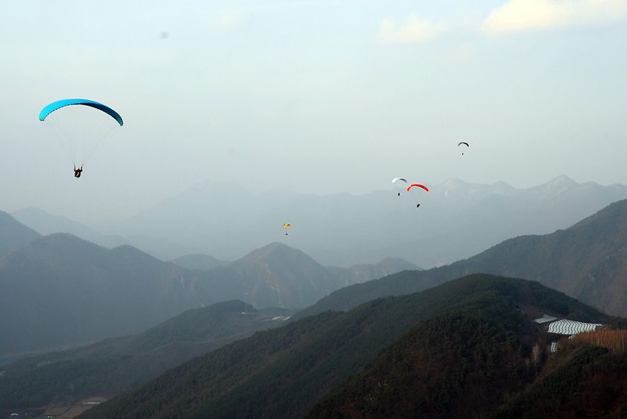 D11_7805.jpg