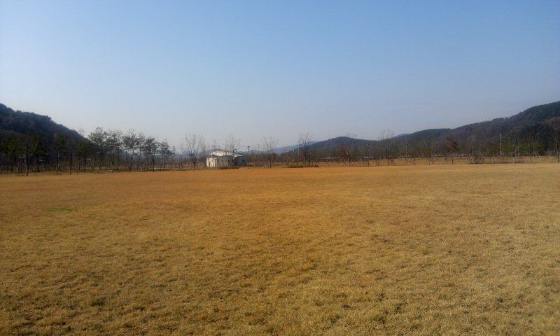 2011-11-25 11.22.38.jpg
