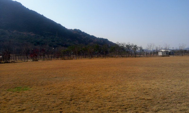 2011-11-25 11.26.19.jpg