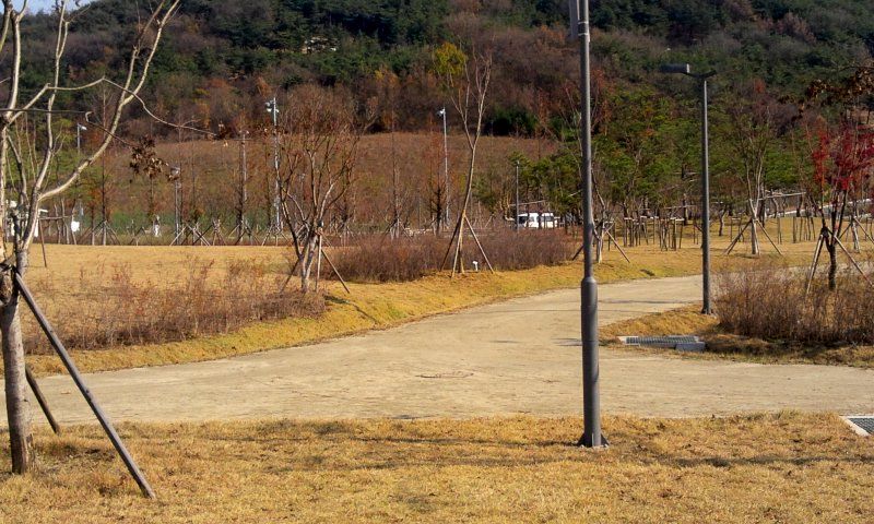 2011-11-25 12.54.09.jpg