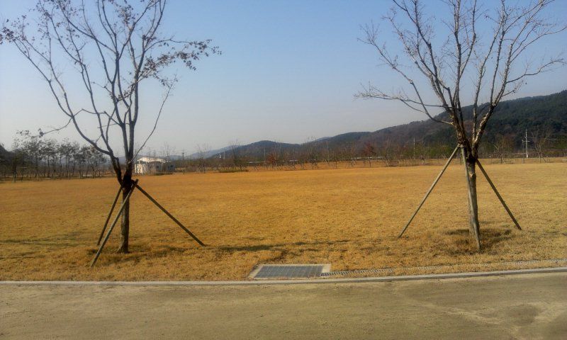 2011-11-25 11.22.21.jpg