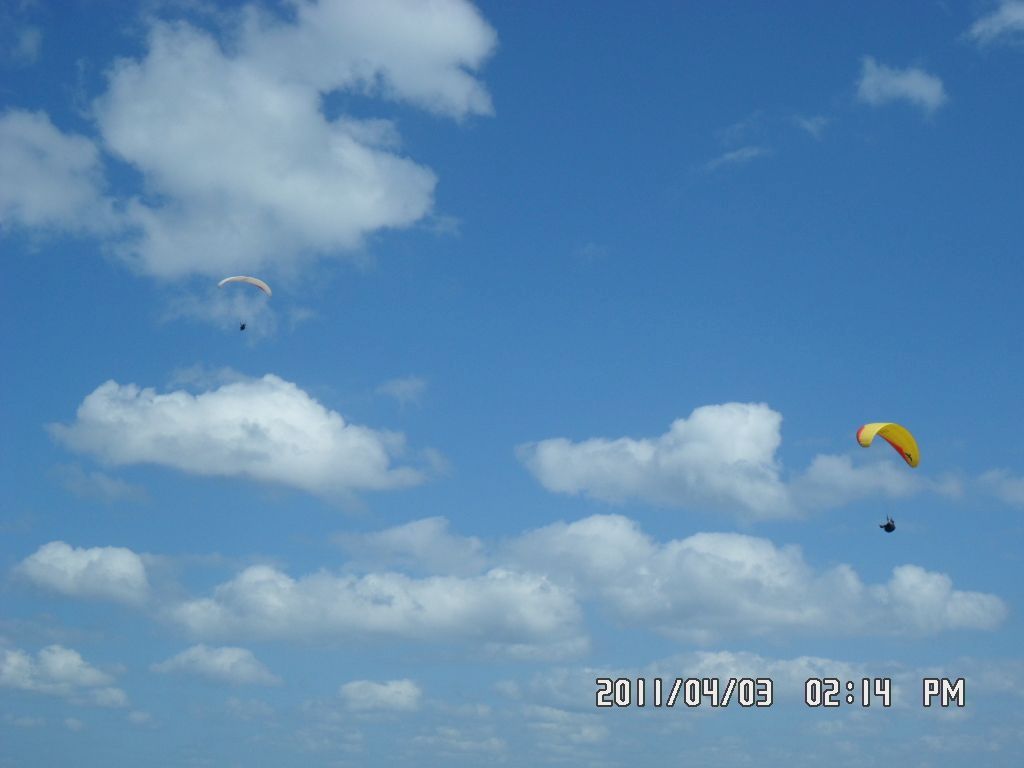 SAM_0351.JPG