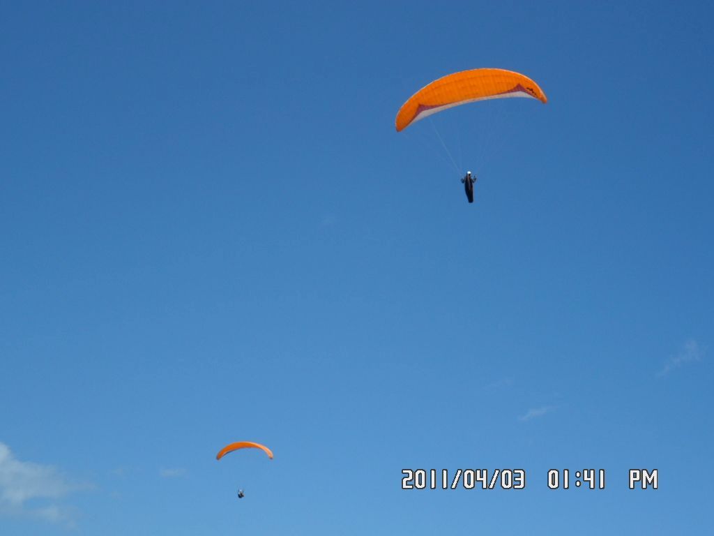 SAM_0268.JPG